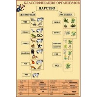 Стенд в кабінет біології (насичений беж)